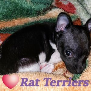 Meet your Posher, Abigail